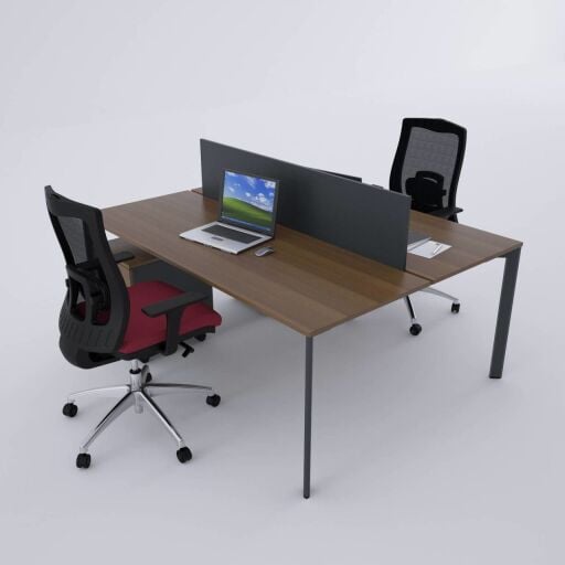 İKİLİ WORKSTATION